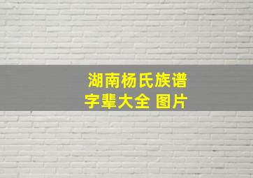 湖南杨氏族谱字辈大全 图片